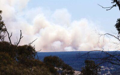 Does prescribed burning need a rethink?