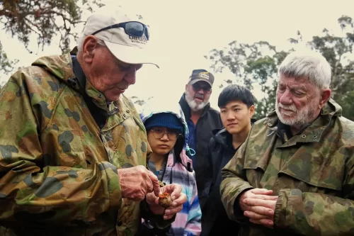 Max, survey lead of the bird group, showing volunteers chewed Marri nuts