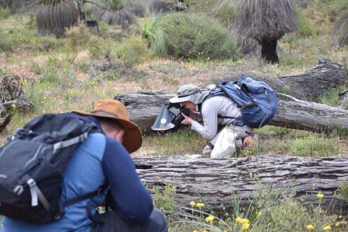 2 bee surveyors searching and photographic insects on the ground