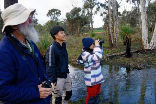 Bird watchers scanning the sky. A brook is seen in the background.