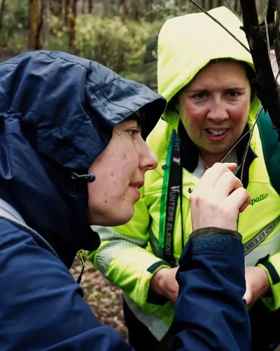 Two volunteers inspecting a tiny critter.