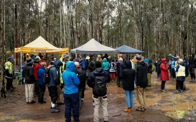 Julimar Forest BioBlitz Reveals Rich Biodiversity