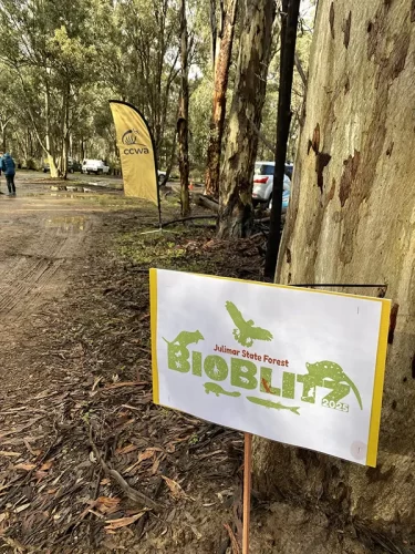 BioBlitz signs