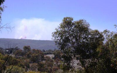 2026 prescribed burns update