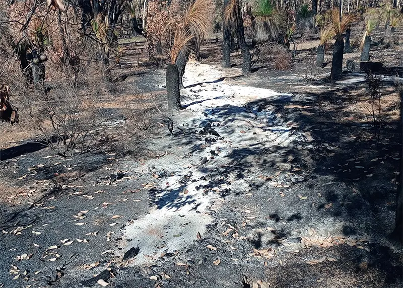 the remains of a log after a fire - a long pile of white ash